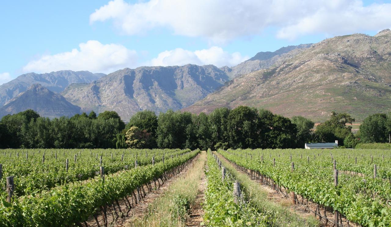 La Chataigne Wines&Guest Cottages Franschhoek Extérieur photo