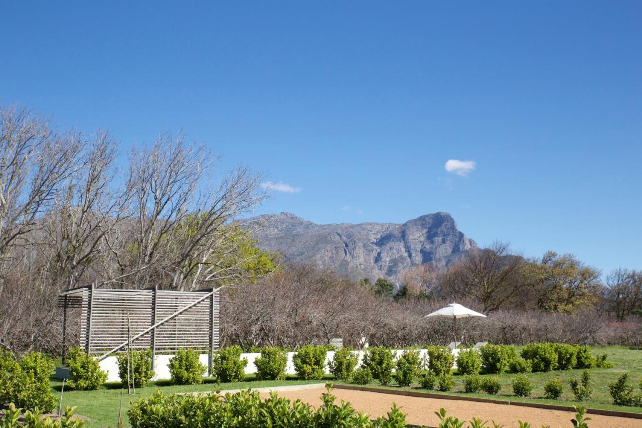 La Chataigne Wines&Guest Cottages Franschhoek Extérieur photo