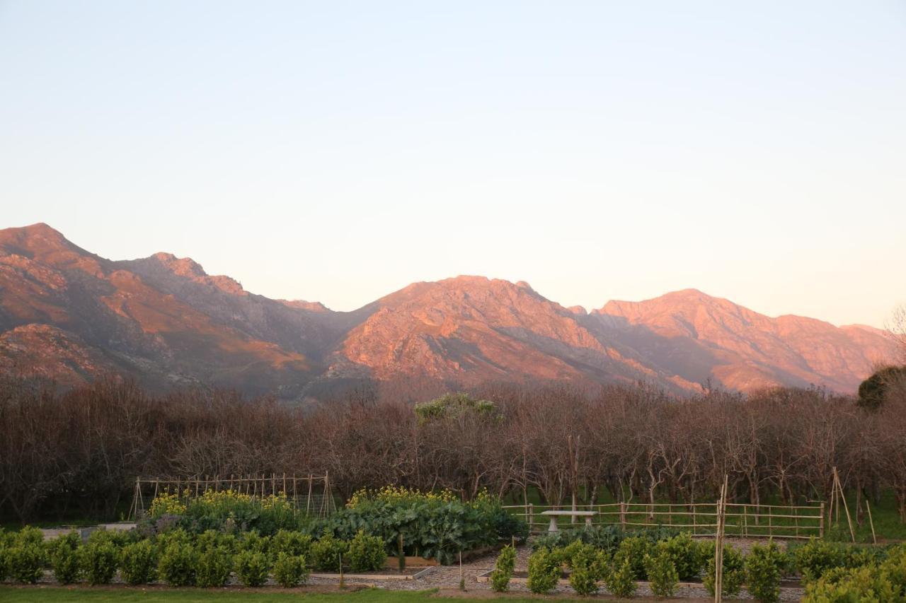 La Chataigne Wines&Guest Cottages Franschhoek Extérieur photo