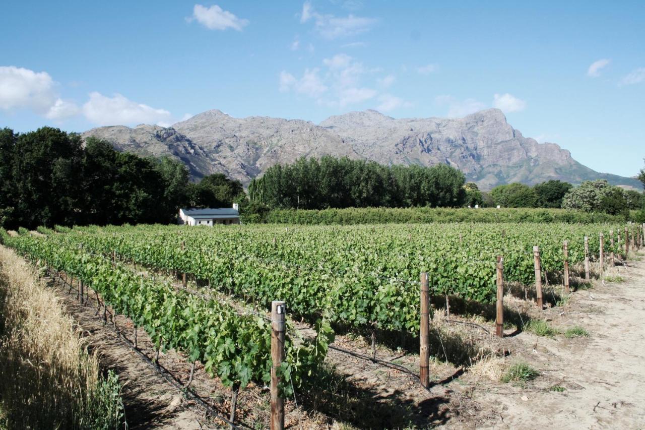 La Chataigne Wines&Guest Cottages Franschhoek Extérieur photo